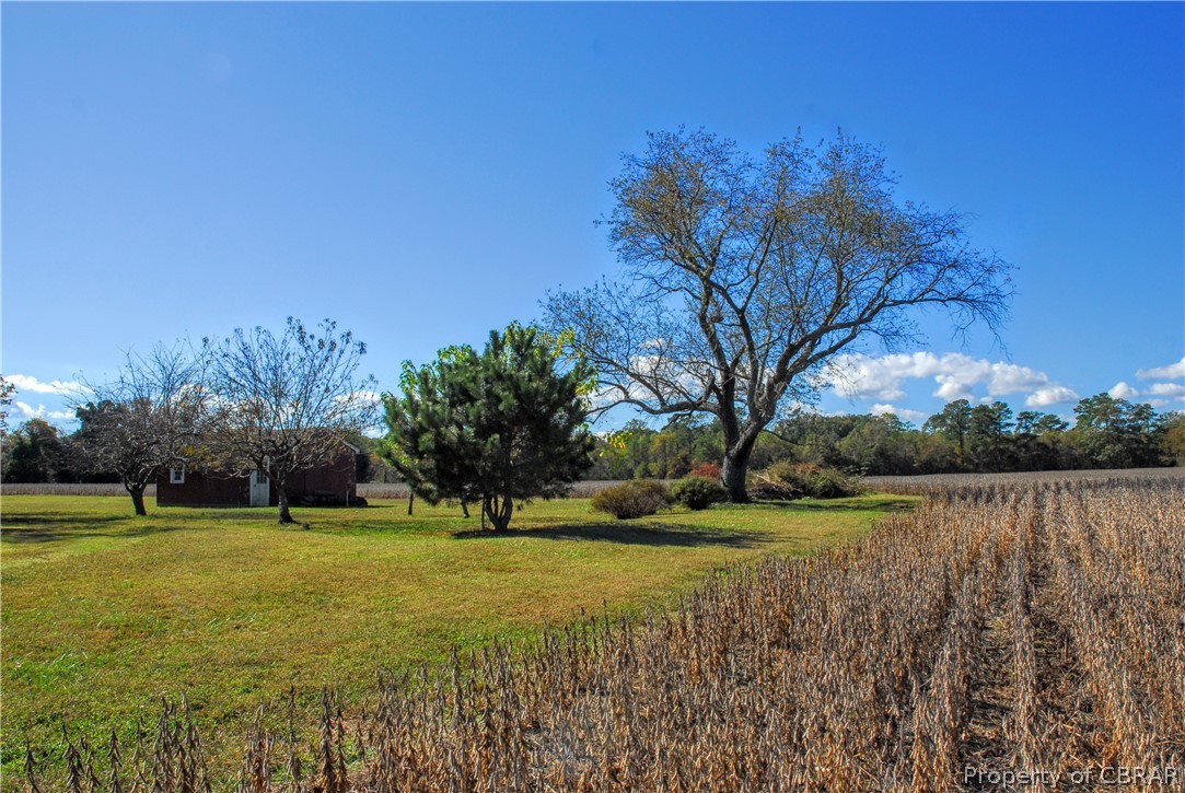 556 Mosquito Point Road White Stone, VA 22578 - Photo 23 of 23 Gallery Image 23