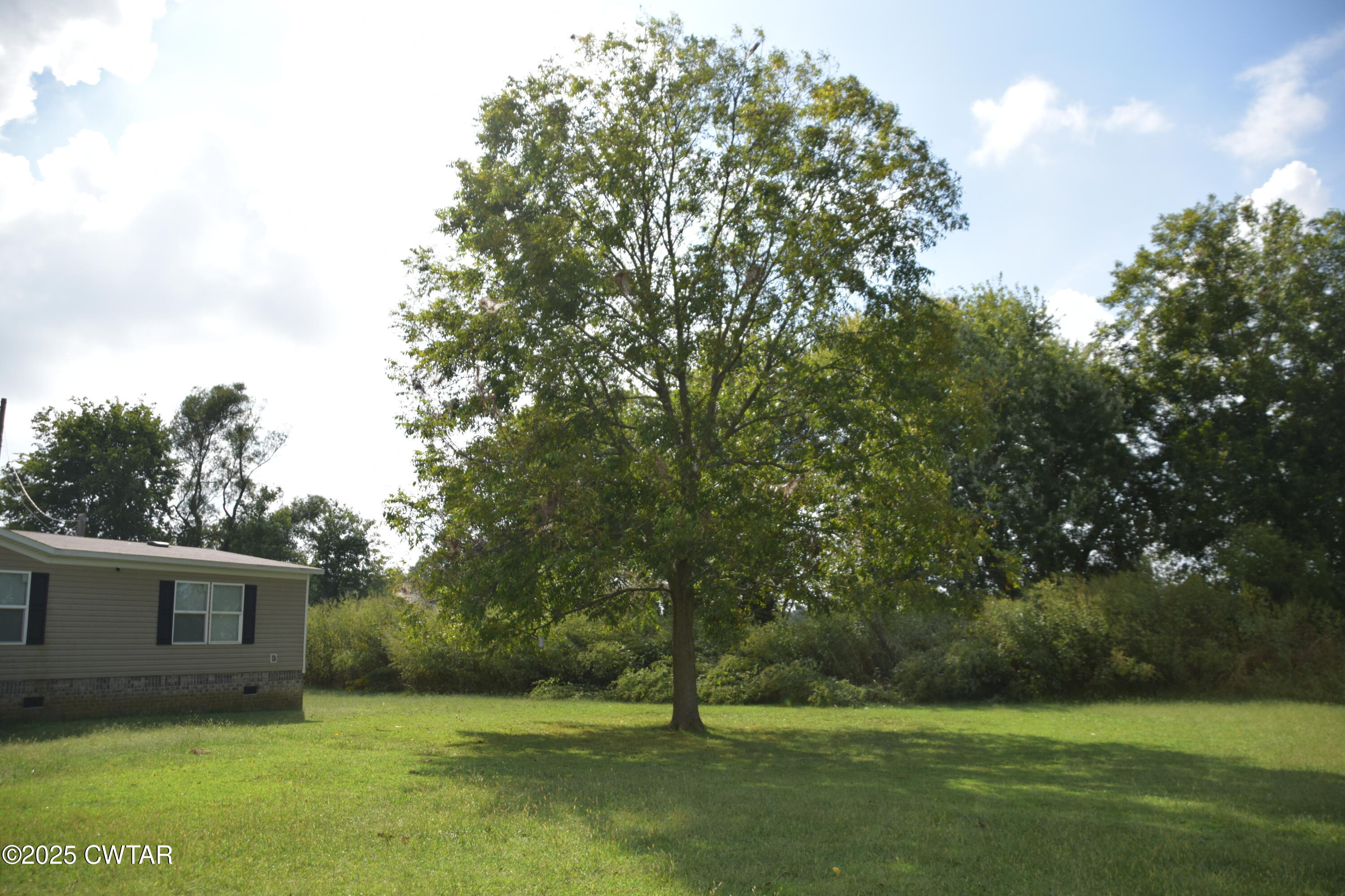 285 Pete Tinsley Road Alamo, TN 38001 - Photo 6 of 27 a view of backyard with green space