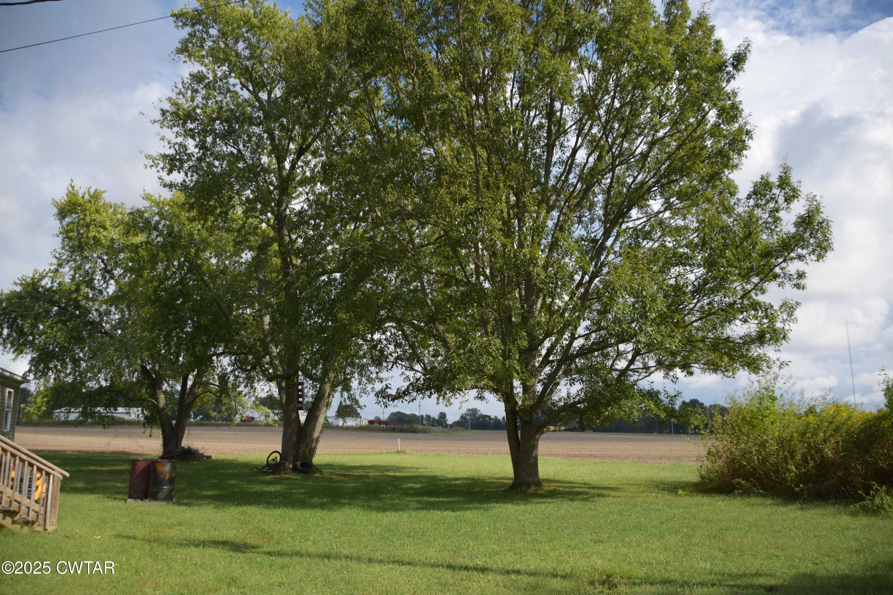 285 Pete Tinsley Road Alamo, TN 38001 - Photo 9 of 27 a view of yard with trees