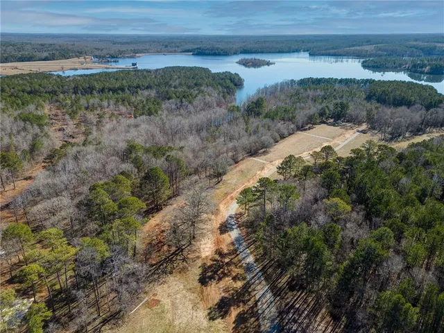 a view of a dry yard with green space