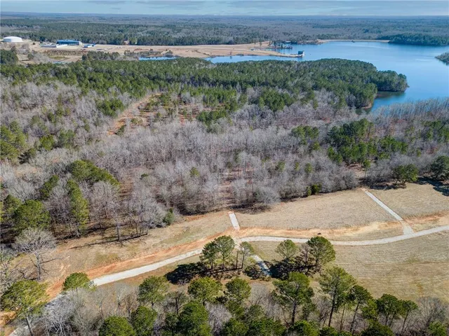 a view of a dry yard with trees