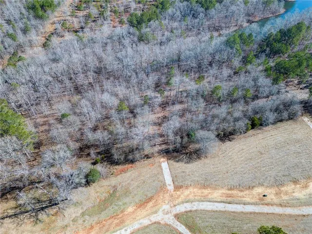 a view of a dry yard covered with trees