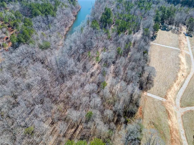 a view of a dry yard with trees and stairs
