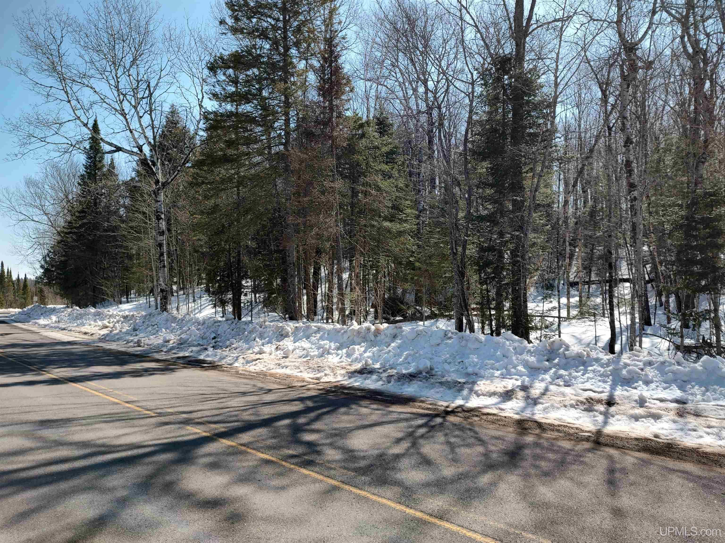 40-acres Little Lake Road Gwinn, MI 49841 - Photo 21 of 25
