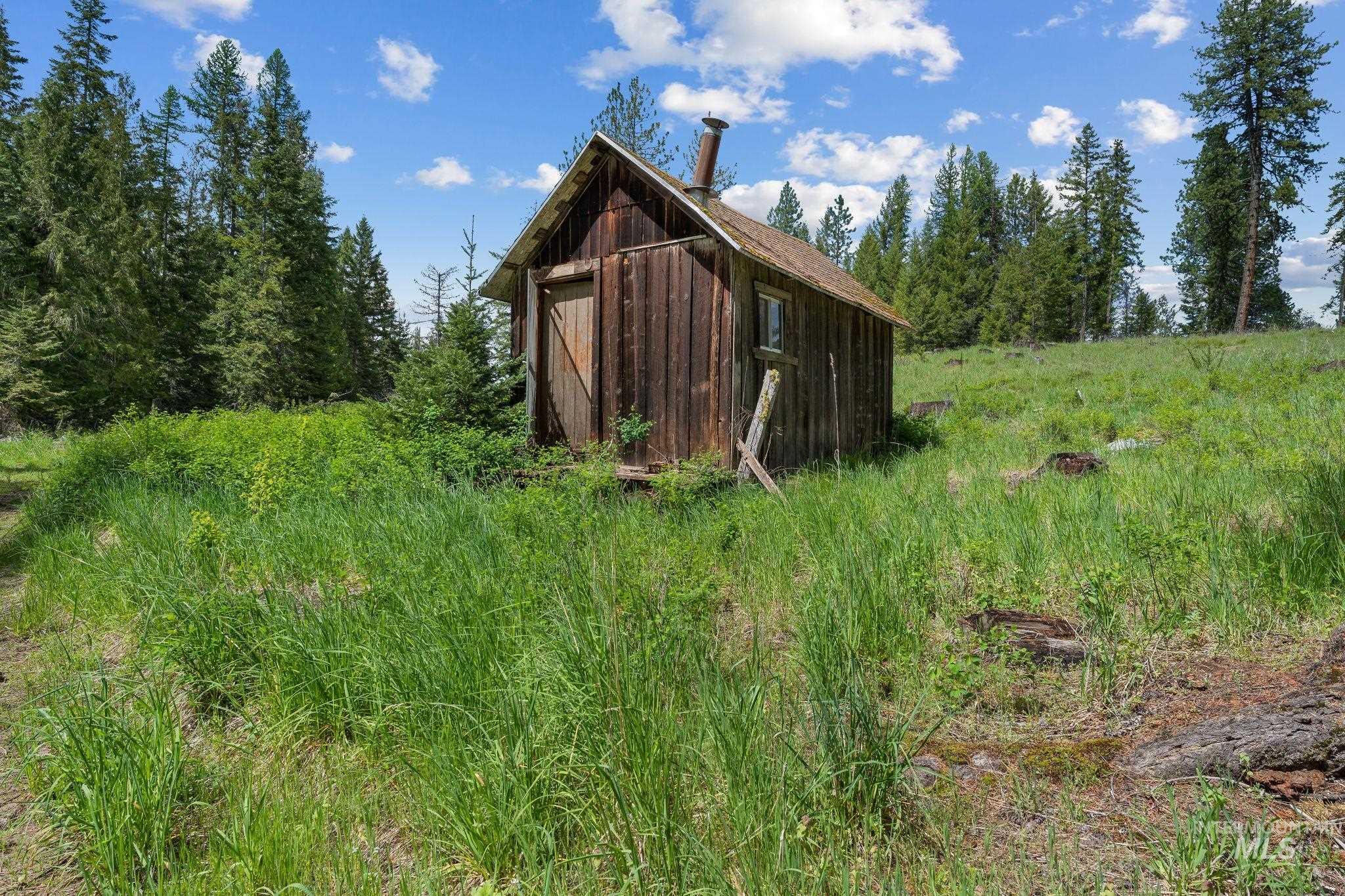 4715 Freeman Creek Road Lenore, ID 83541 - Photo 38 of 50