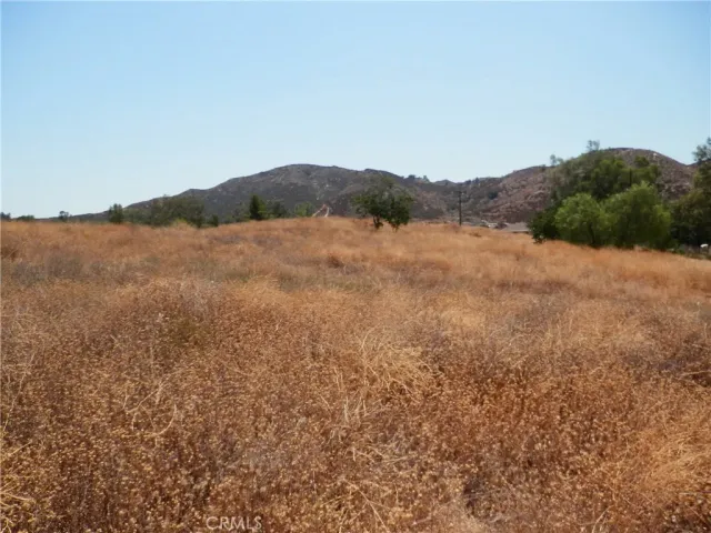 a view of outdoor space with a garden