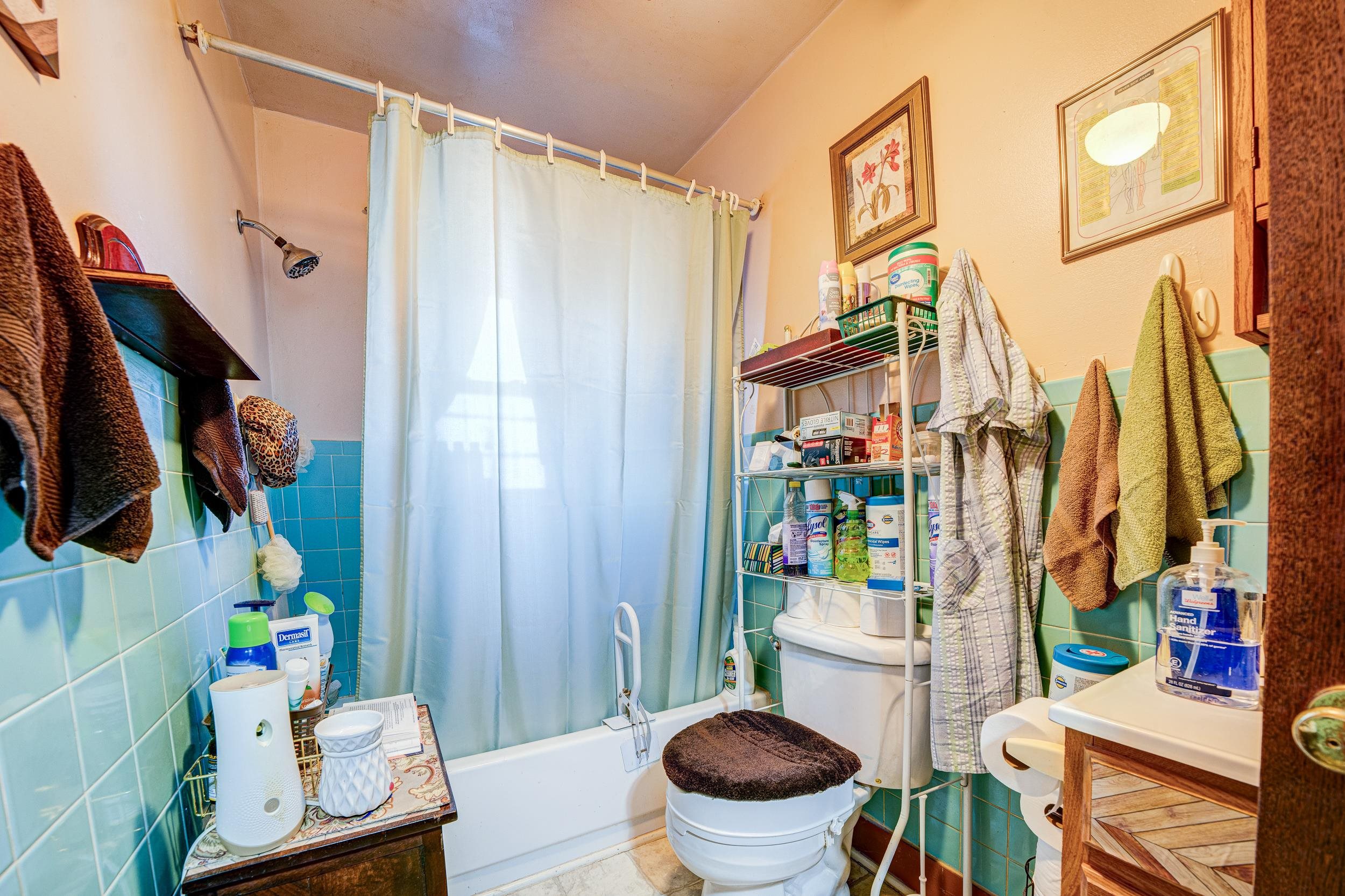 24315 Highway 76 Somerville, TN 38068 - Photo 14 of 27 a bathroom with a toilet a sink and a shower curtain