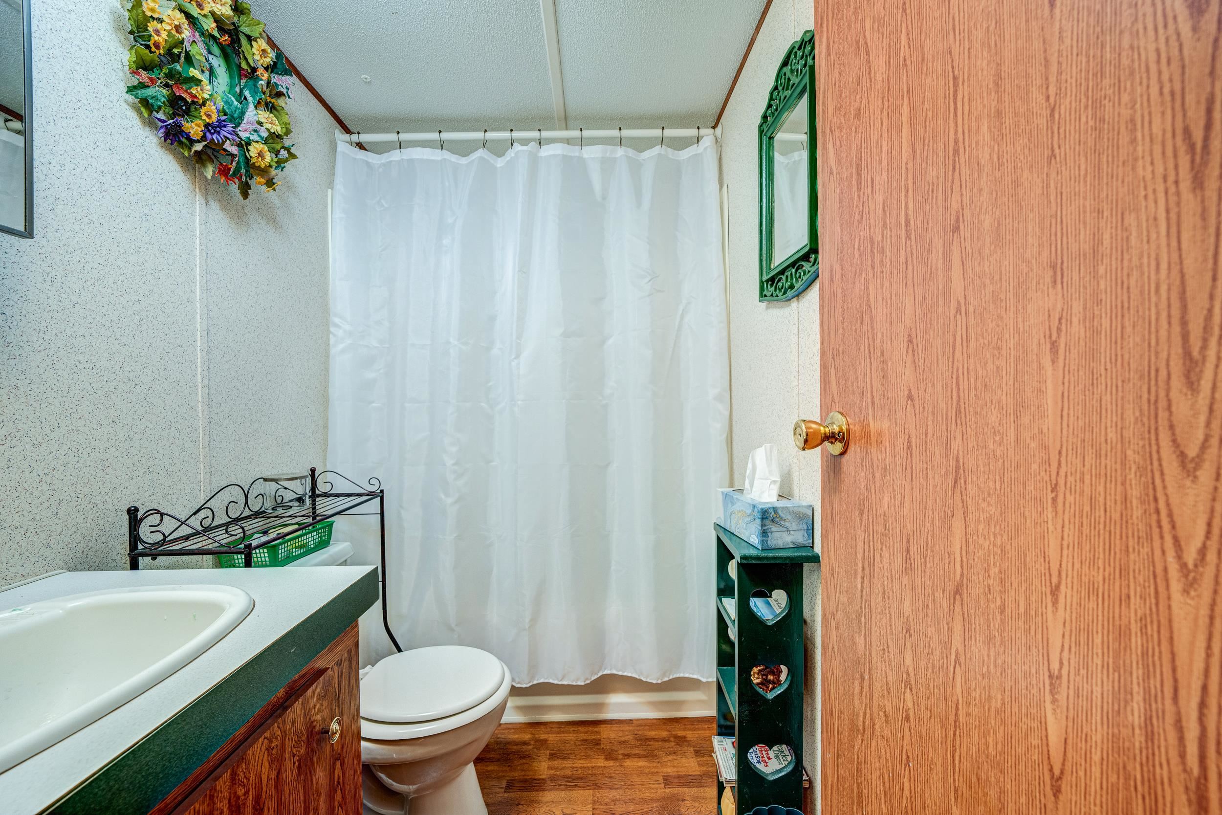 24315 Highway 76 Somerville, TN 38068 - Photo 24 of 27 a bathroom with a sink a toilet and shower curtain