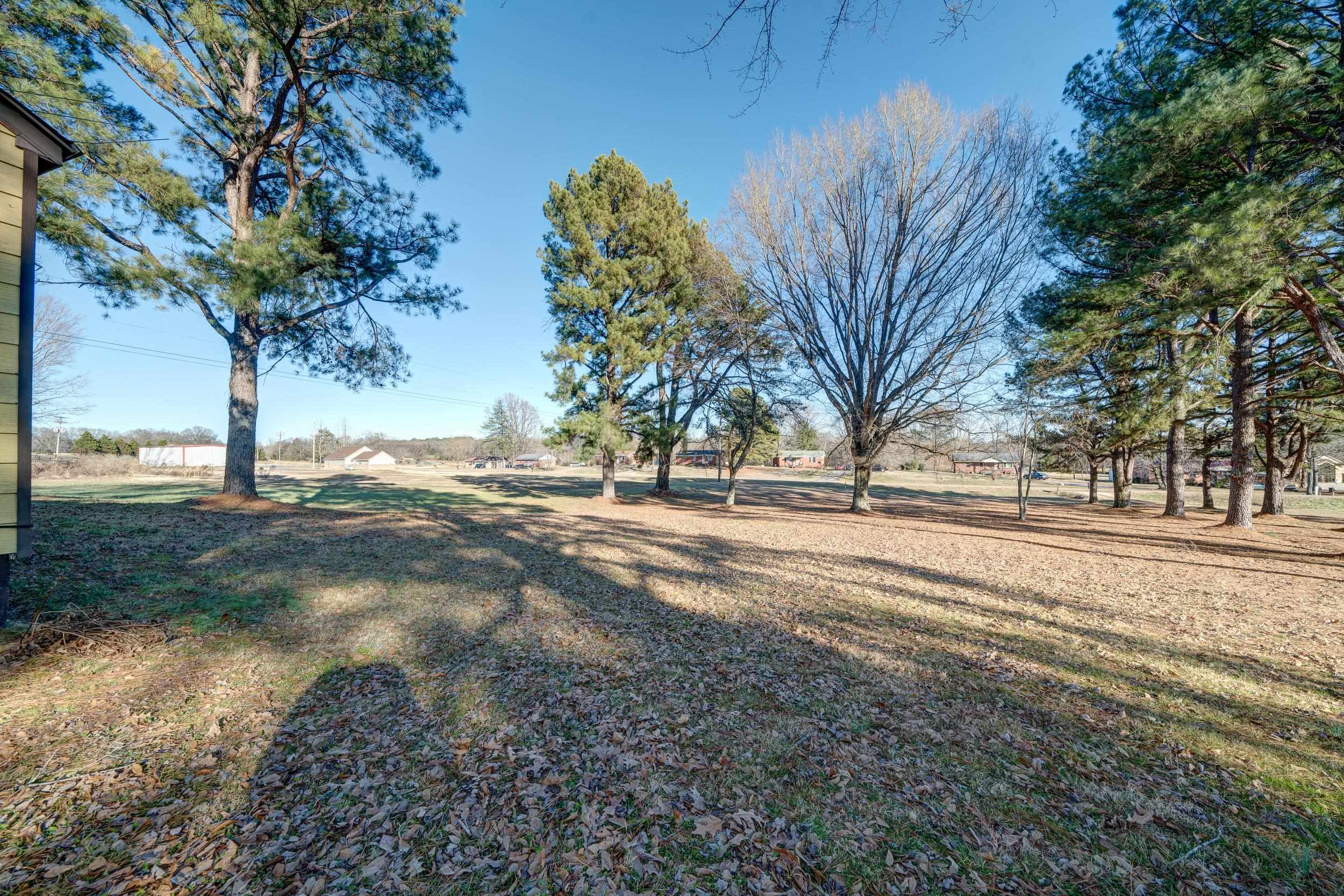 24315 Highway 76 Somerville, TN 38068 - Photo 4 of 27 a view of road and trees