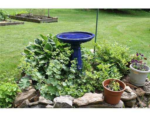 515 Whitefield Road Pittston, ME 04345 - Photo 4 of 10 Yard/Garden.