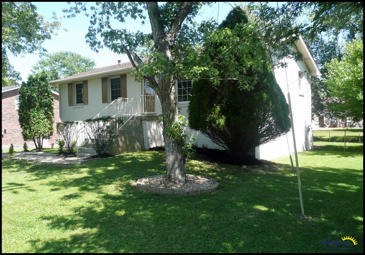 464 Rural Hill Road Nashville, TN 37217 - Photo 3 of 15 a view of a tree in front of a house with a big yard