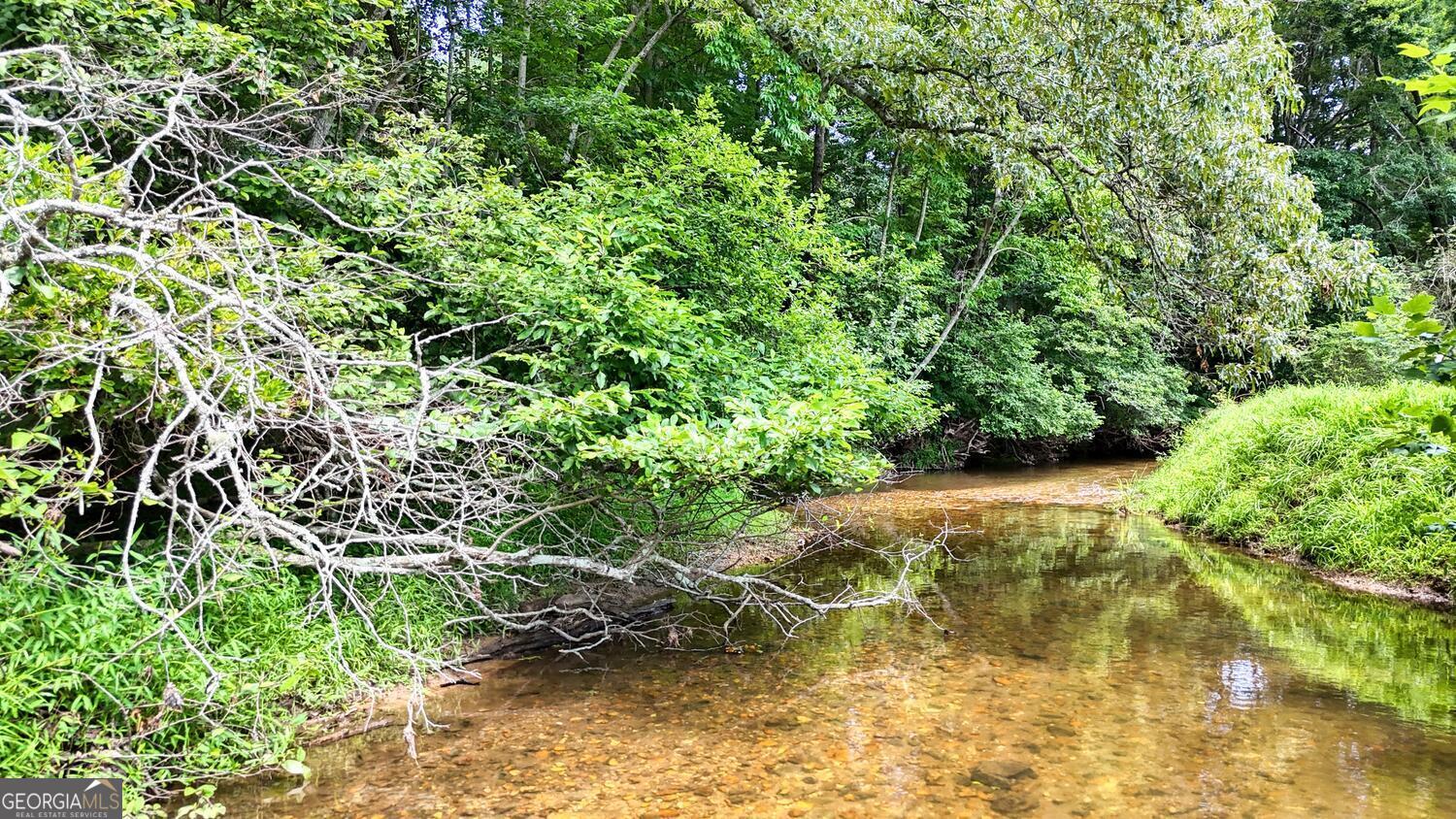 273 Coosa Valley Road Blairsville, GA 30512 - Photo 16 of 34 a view of a yard with plants and large trees