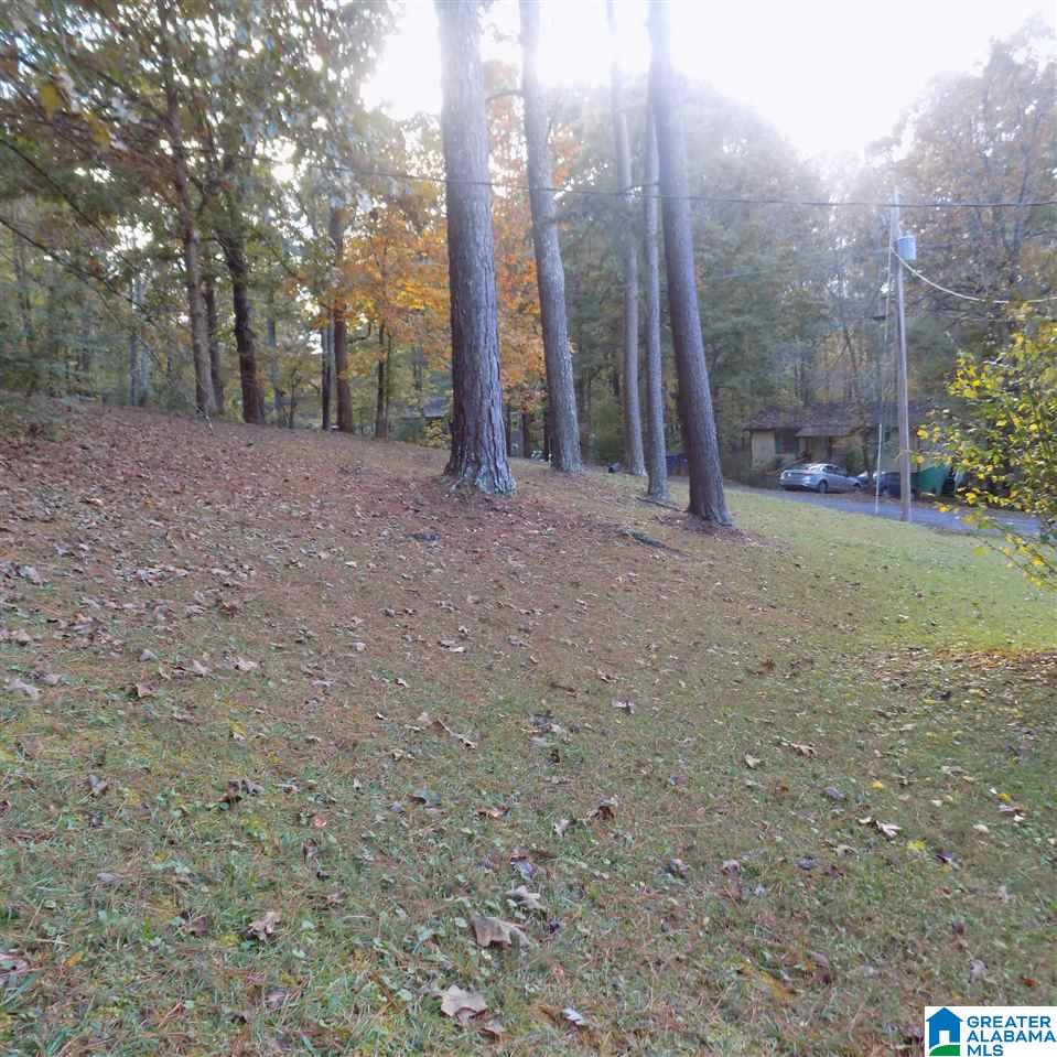 3455 Pinehurst Road Trussville, AL 35173 - Photo 2 of 23