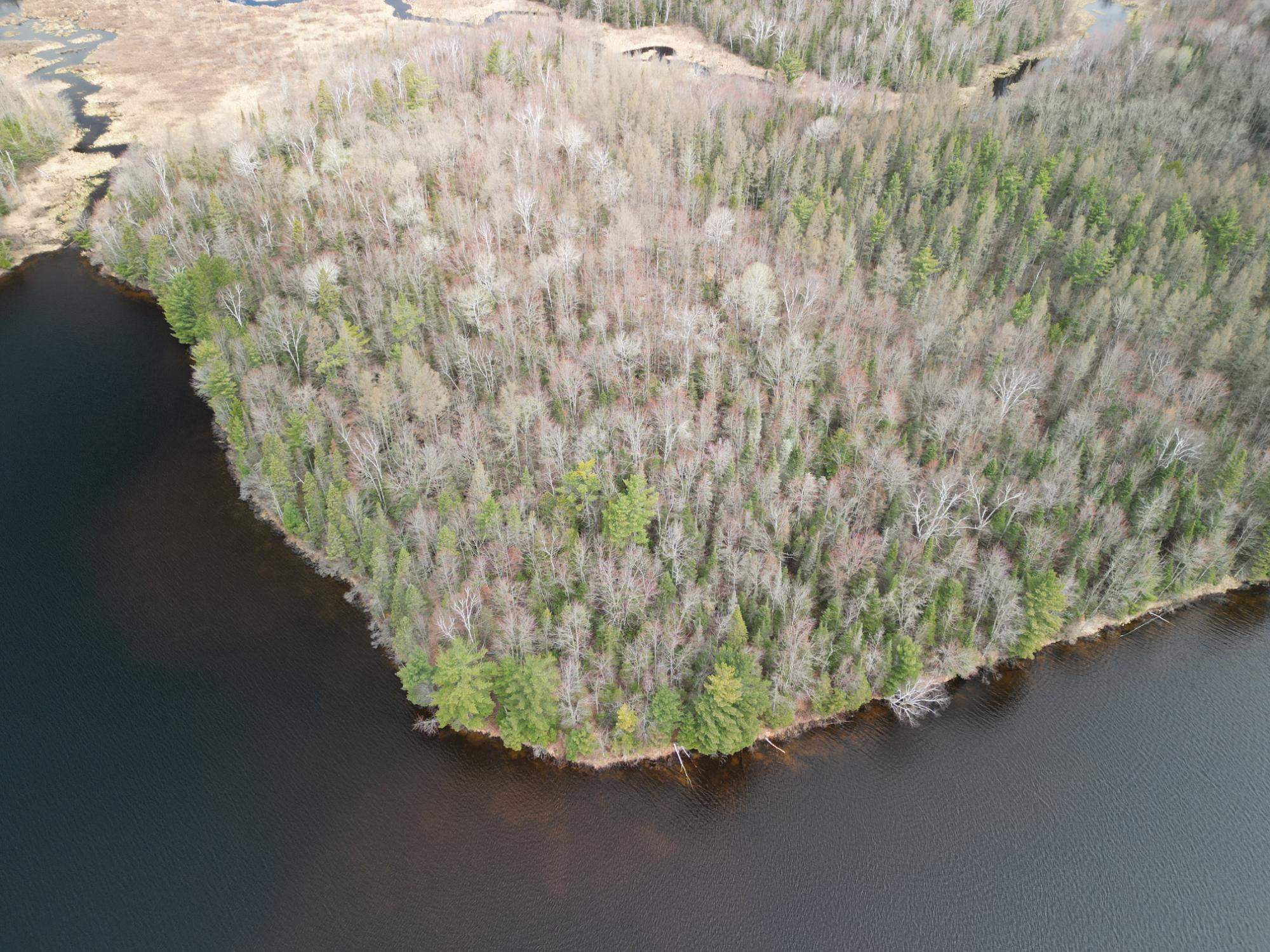 0 Annabelle Lake Road, Unit 22397 Presque Isle, WI 54557 - Photo 18 of 22 Gallery Image 18
