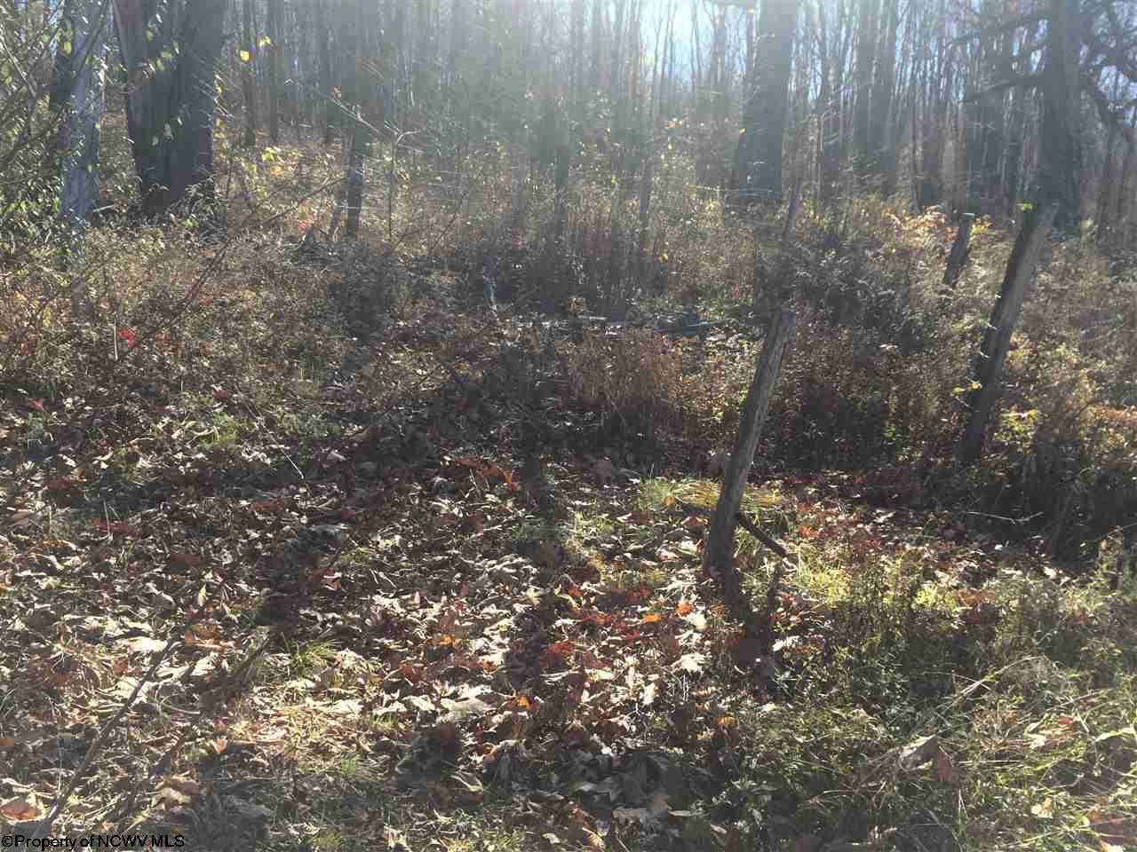 3398 Spruce Run Road Terra Alta, WV 26764 - Photo 18 of 19 Gallery Image 18