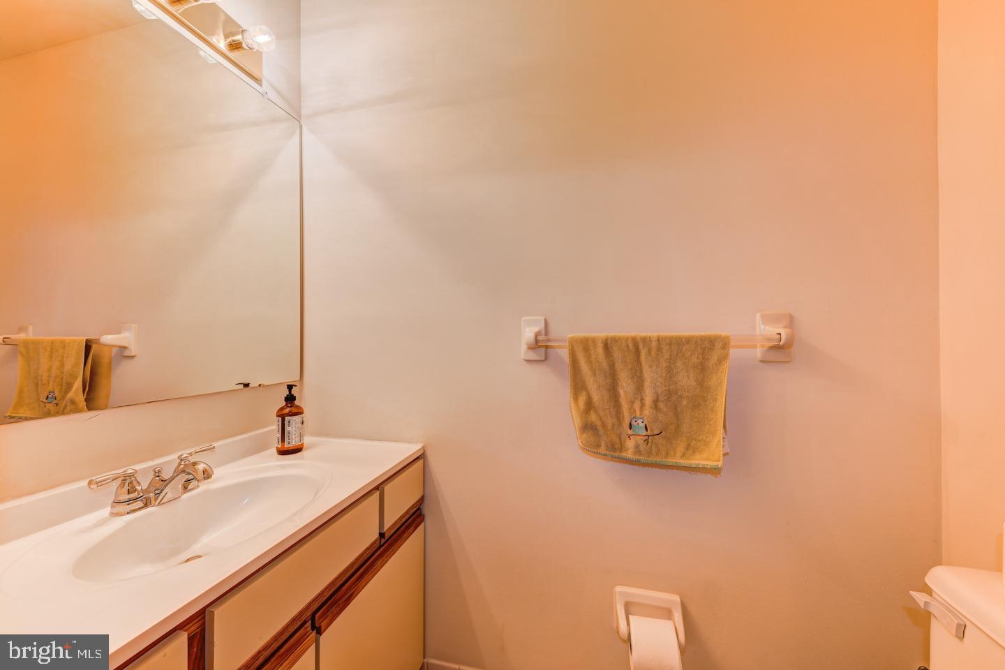 24 Trafalgar Road, Unit 233 Doylestown, PA 18901 - Photo 13 of 23 Main Floor powder room