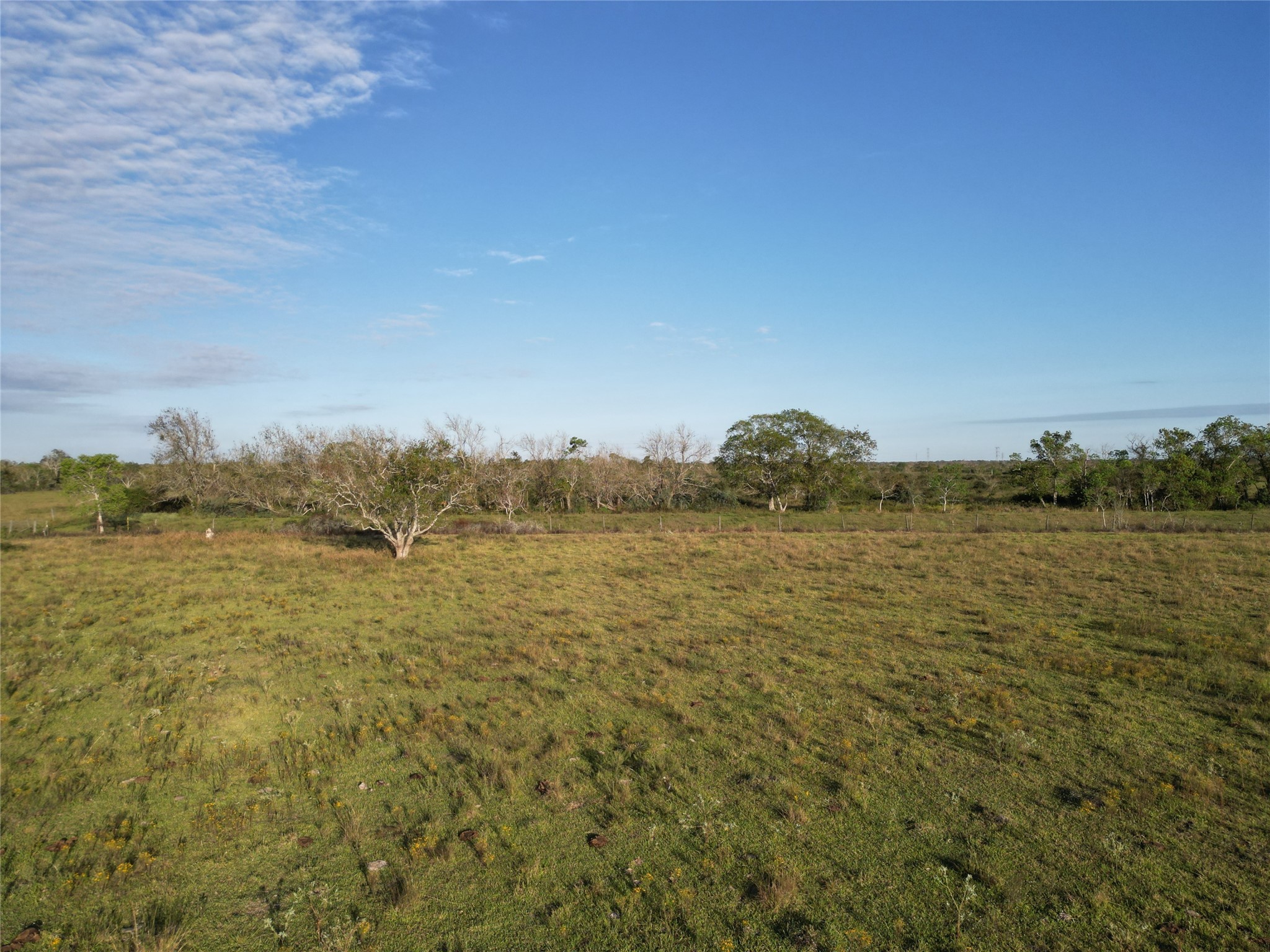 0 County Road 220 Angleton, TX 77515 - Photo 12 of 22