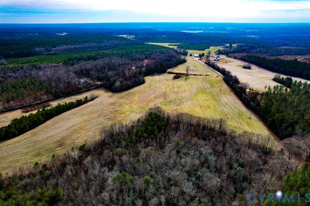 53.778-acres Kidds Fork Road Milford, VA 22514 - Photo 13 of 35