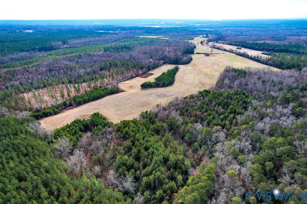 53.778-acres Kidds Fork Road Milford, VA 22514 - Photo 15 of 35