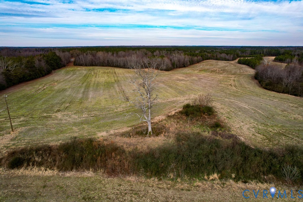 53.778-acres Kidds Fork Road Milford, VA 22514 - Photo 20 of 35