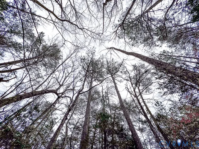 a view of outdoor space with lots of trees