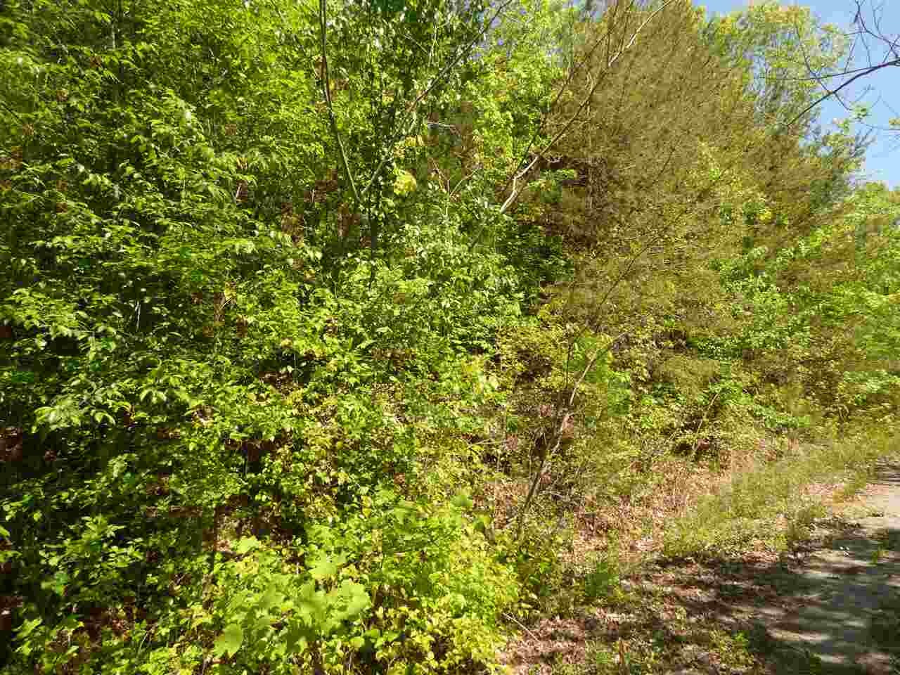 0 Chestnut Street Spring City, TN 37381 - Photo 3 of 6 Gallery Image 3