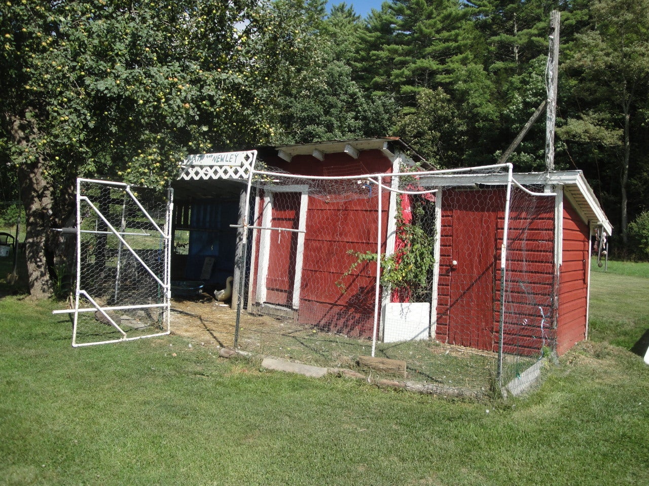 125 Rr 1 Dunmore, WV 24934 - Photo 11 of 41 Chicken Coop
