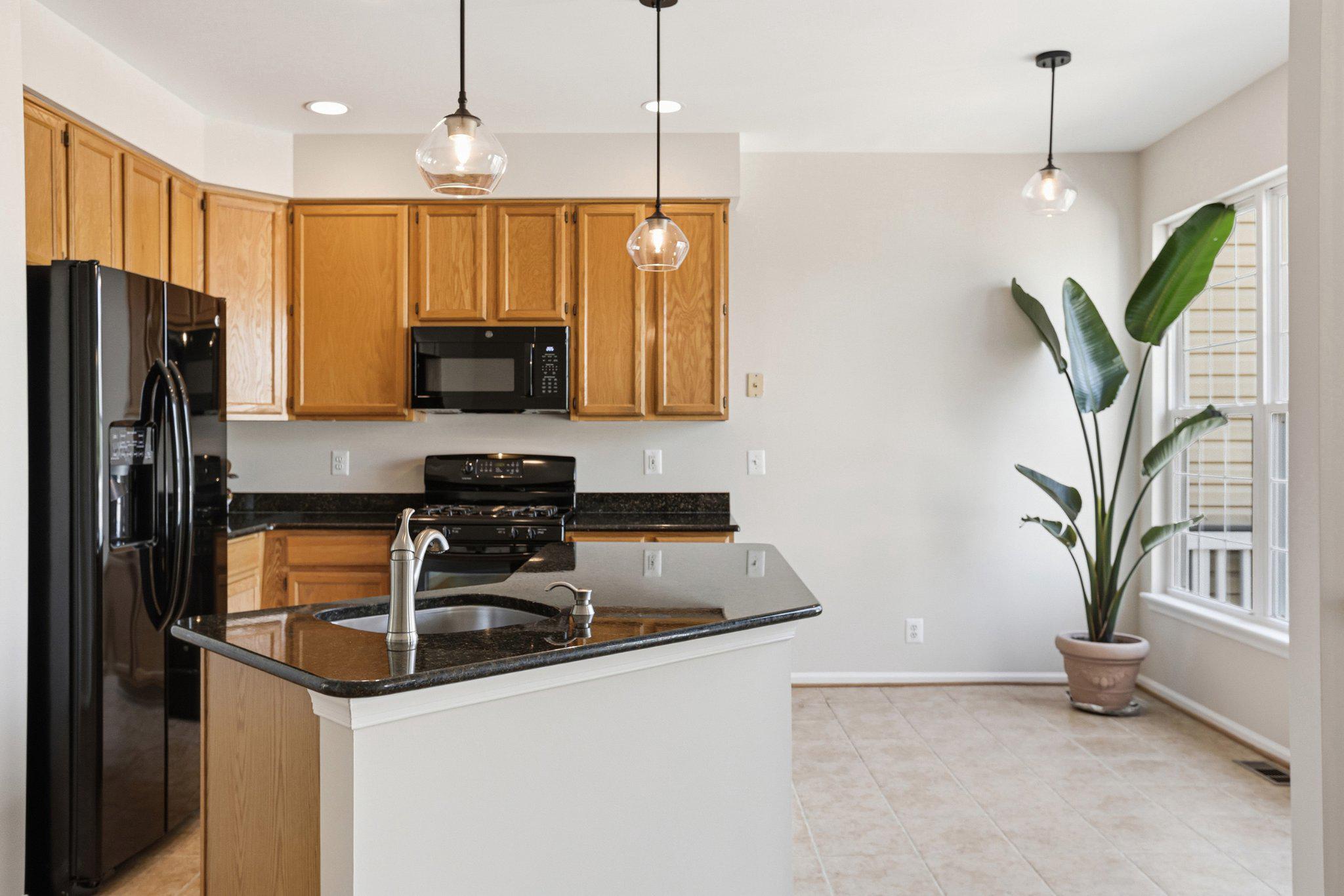 44100 Rising Sun Terrace Ashburn, VA 20147 - Photo 18 of 67 Granite Counters