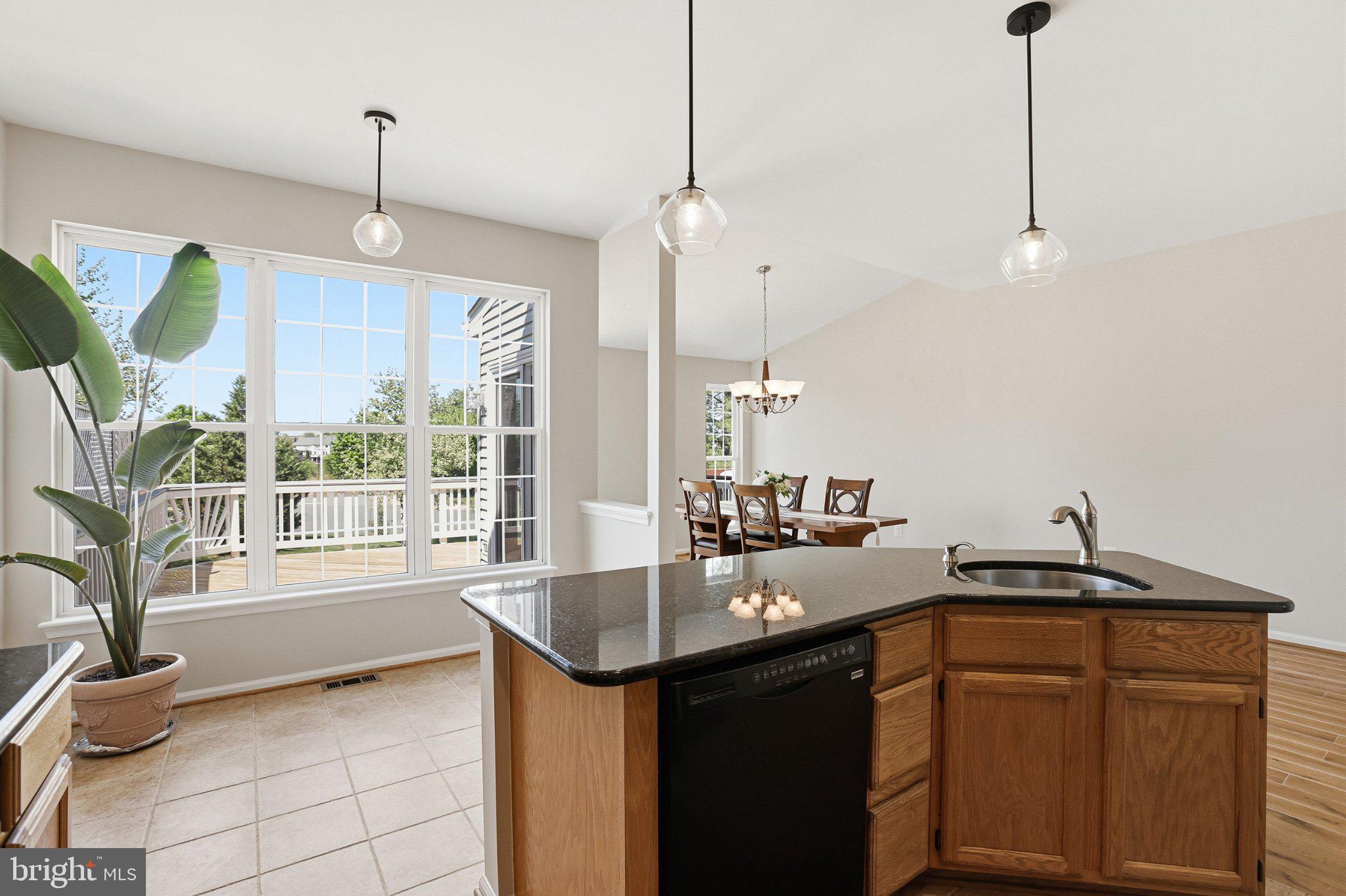 44100 Rising Sun Terrace Ashburn, VA 20147 - Photo 20 of 67 Bright and airy kitchen with views.