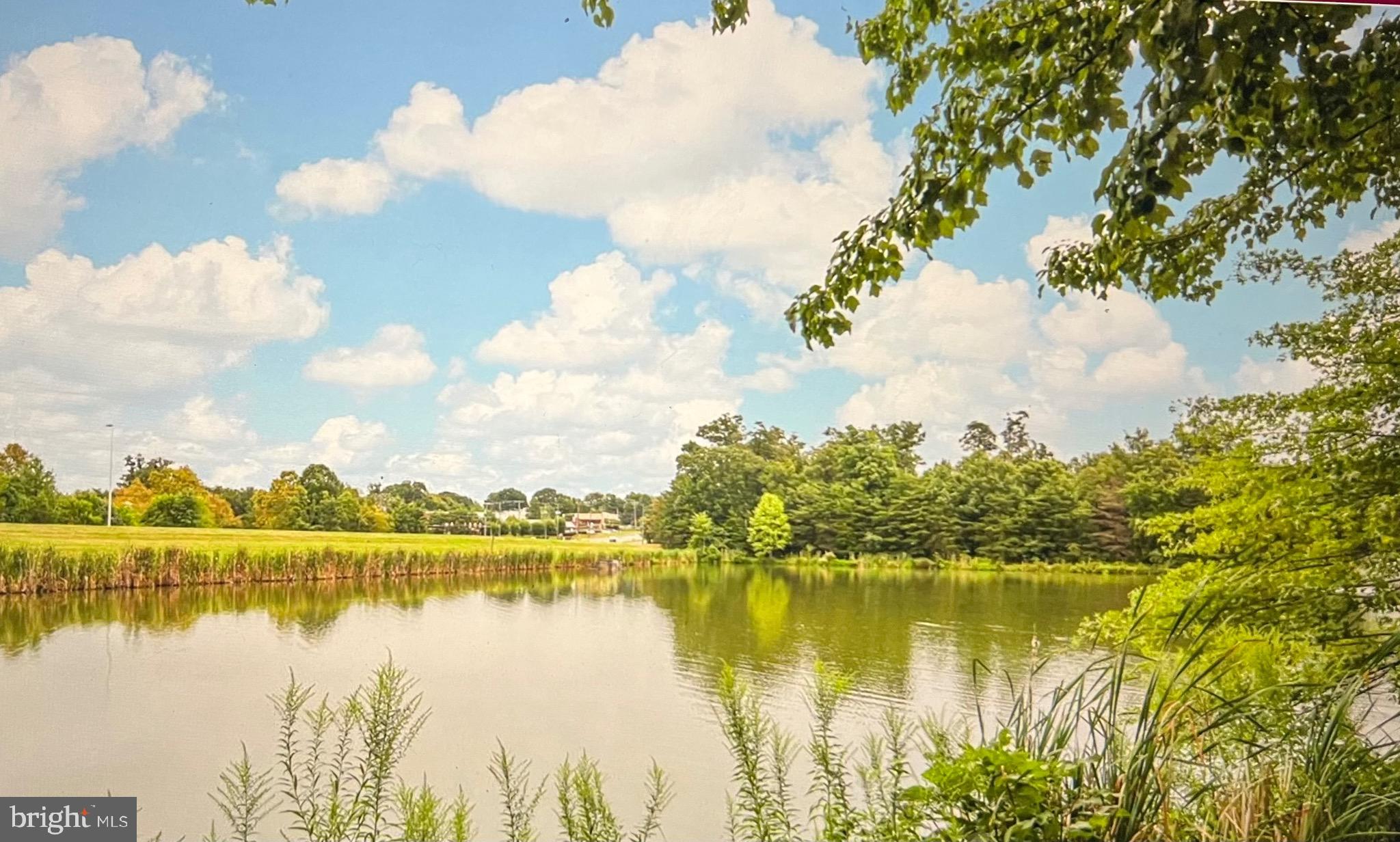 12027 Edgemere Circle Reston, VA 20190 - Photo 62 of 64 Community lake