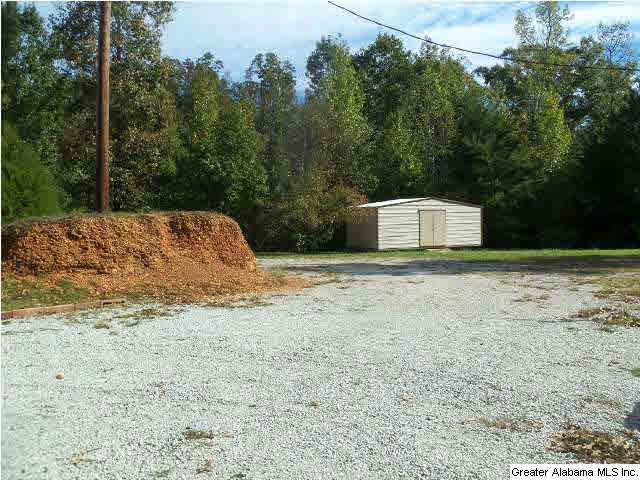 16621 Lockmeade Road Brookwood, AL 35444 - Photo 25 of 28