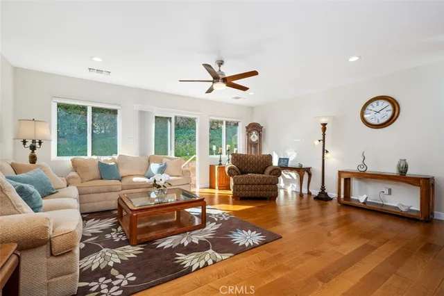a living room with furniture a rug and a window