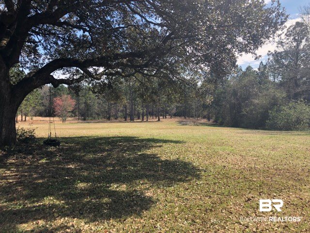 42550 J W Davidson Road Bay Minette, AL 36507 - Photo 17 of 18 Back Yard
