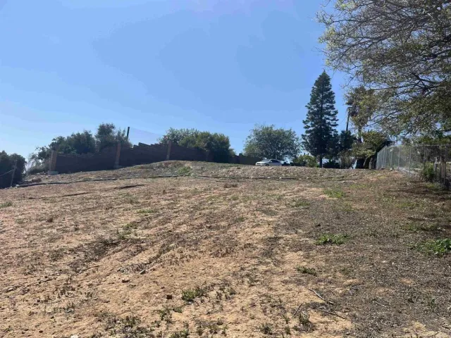 a view of a field with trees in the background