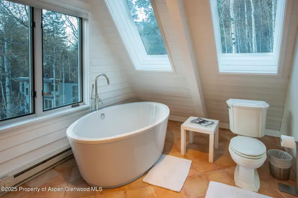 $40,000 | 100 Mountain Laurel Court, Aspen, CO 81611