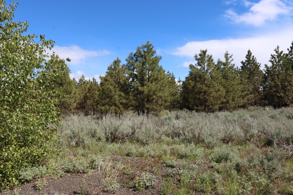 7 Bitterroot Court, Unit 18 McCall, ID 83638 - Photo 11 of 11