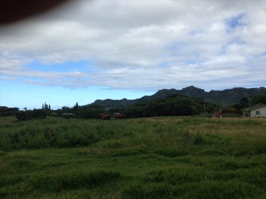 6596 Poo Road, Unit E Kapaa, HI 96746 - Photo 2 of 3 a view of an outdoor and microwave