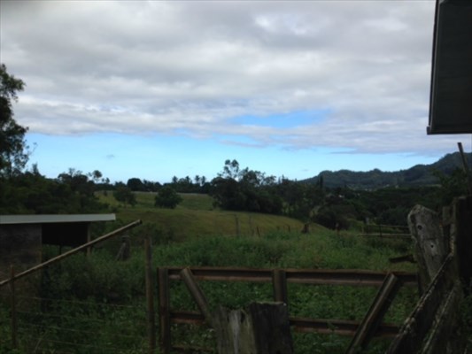 6596 Poo Road, Unit E Kapaa, HI 96746 - Photo 3 of 3 a view of a city with lush green forest