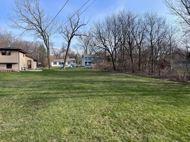 a tall tree in middle of green field