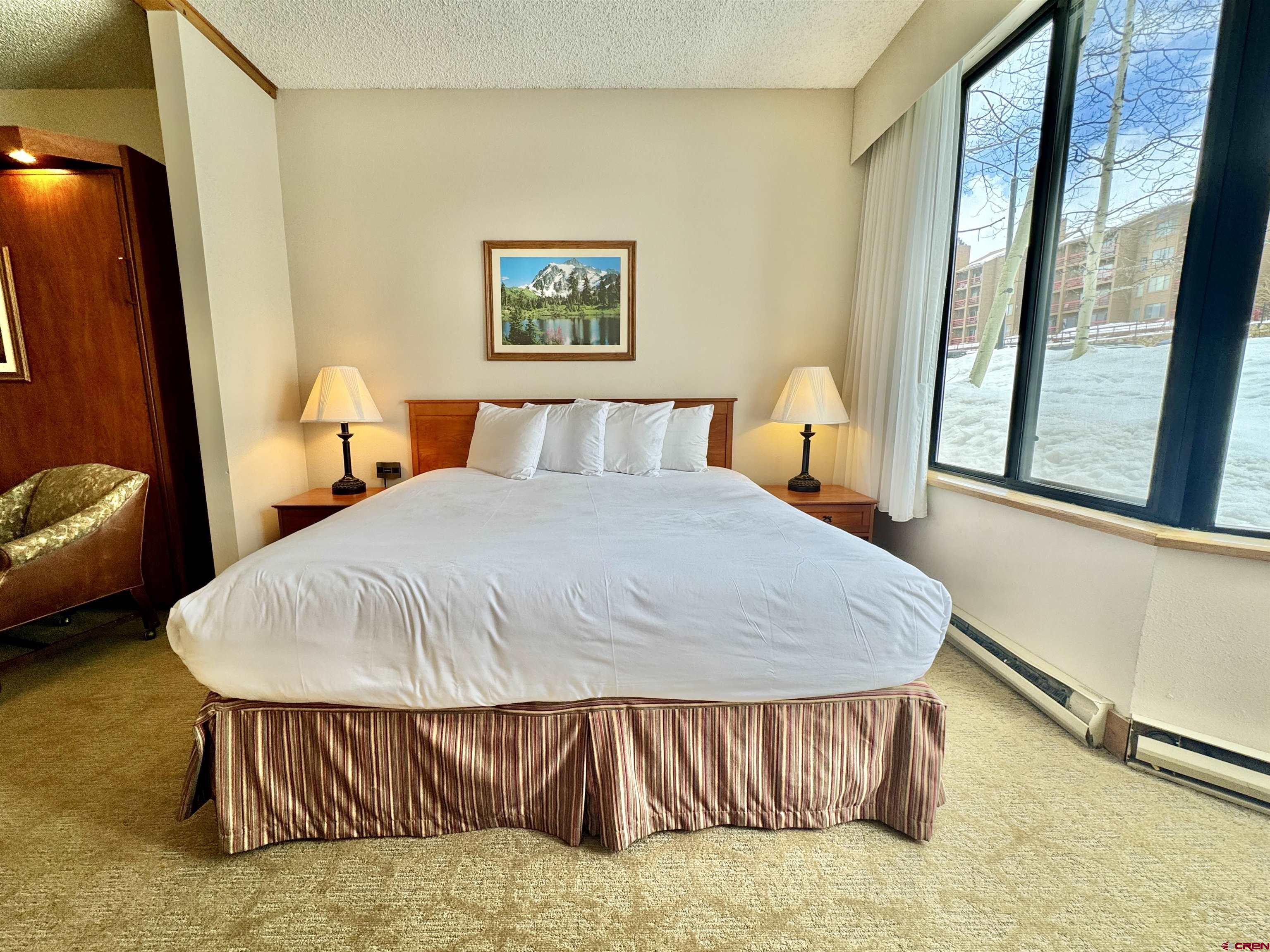 6 Emmons Road, Unit 111 Crested Butte, CO 81225 - Photo 7 of 26 Gallery Image 7
