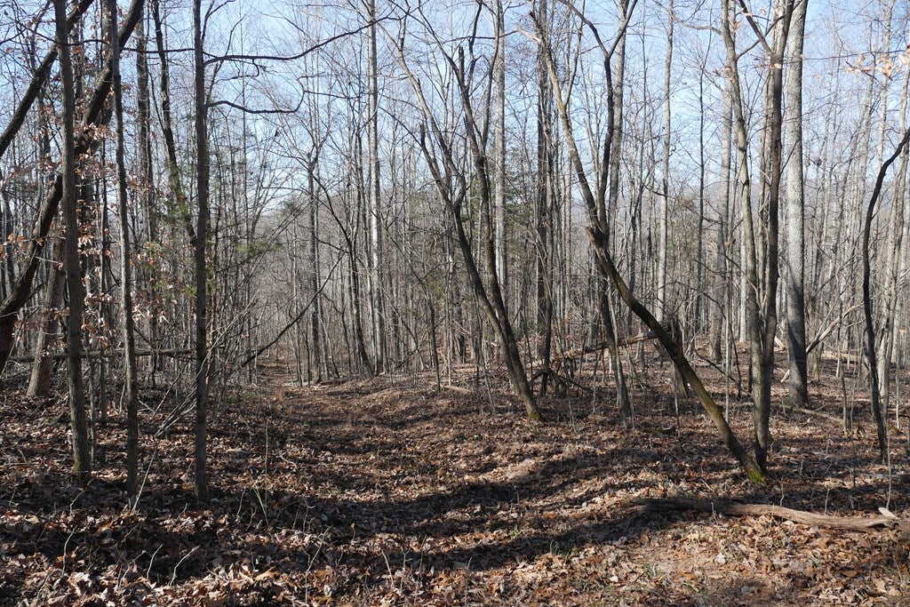 Tbd Tbd Dean Road Rose Hill, VA 24281 - Photo 42 of 97 Gallery Image 42