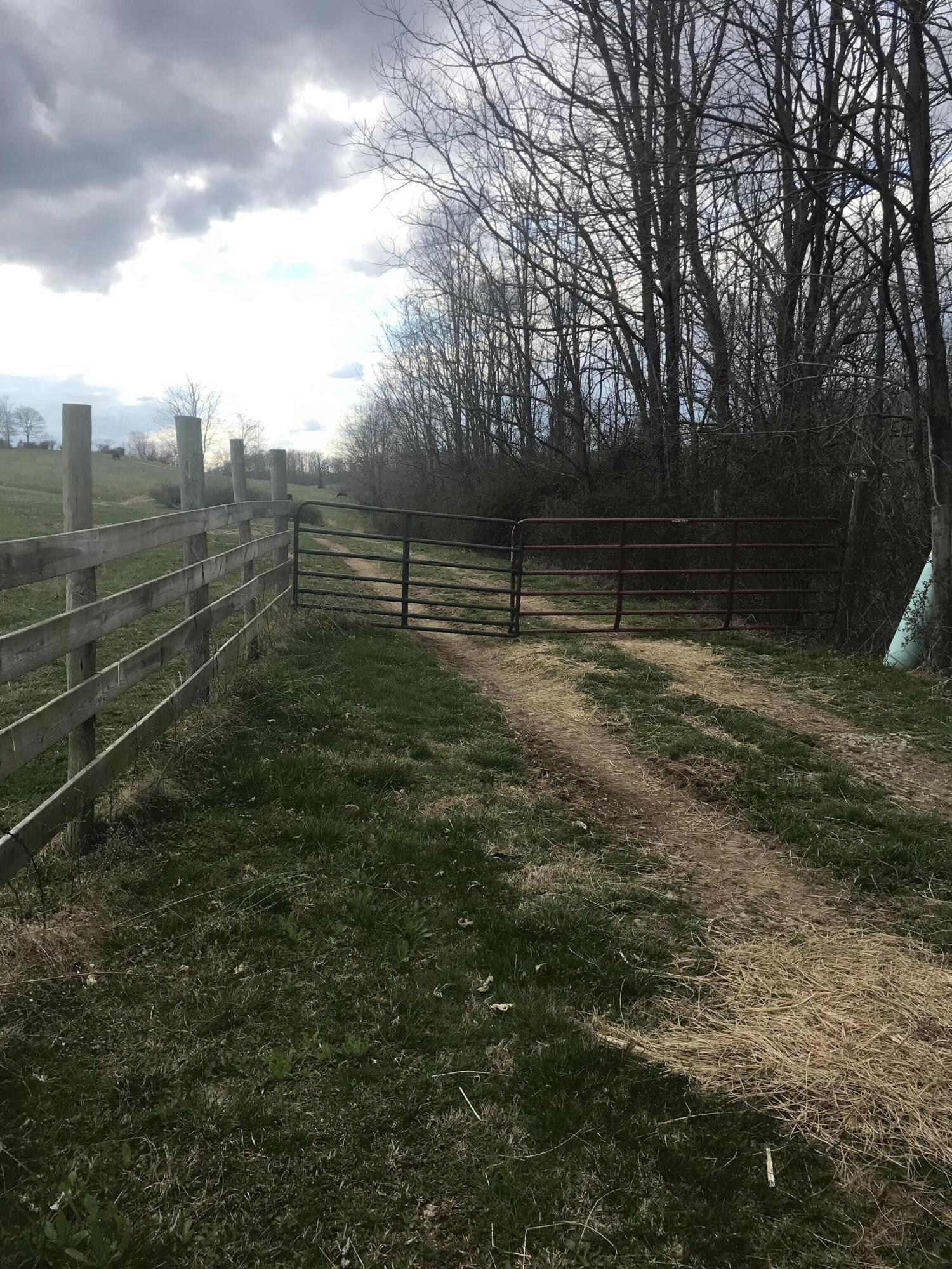 0 Quail Road Brodhead, KY 40409 - Photo 2 of 12 IMG-5967