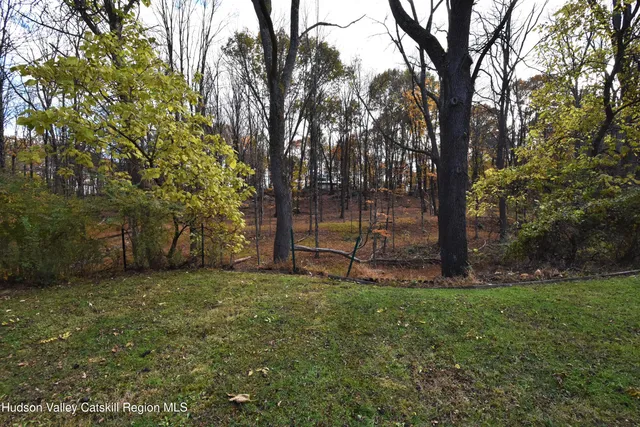a view of a park with a tree