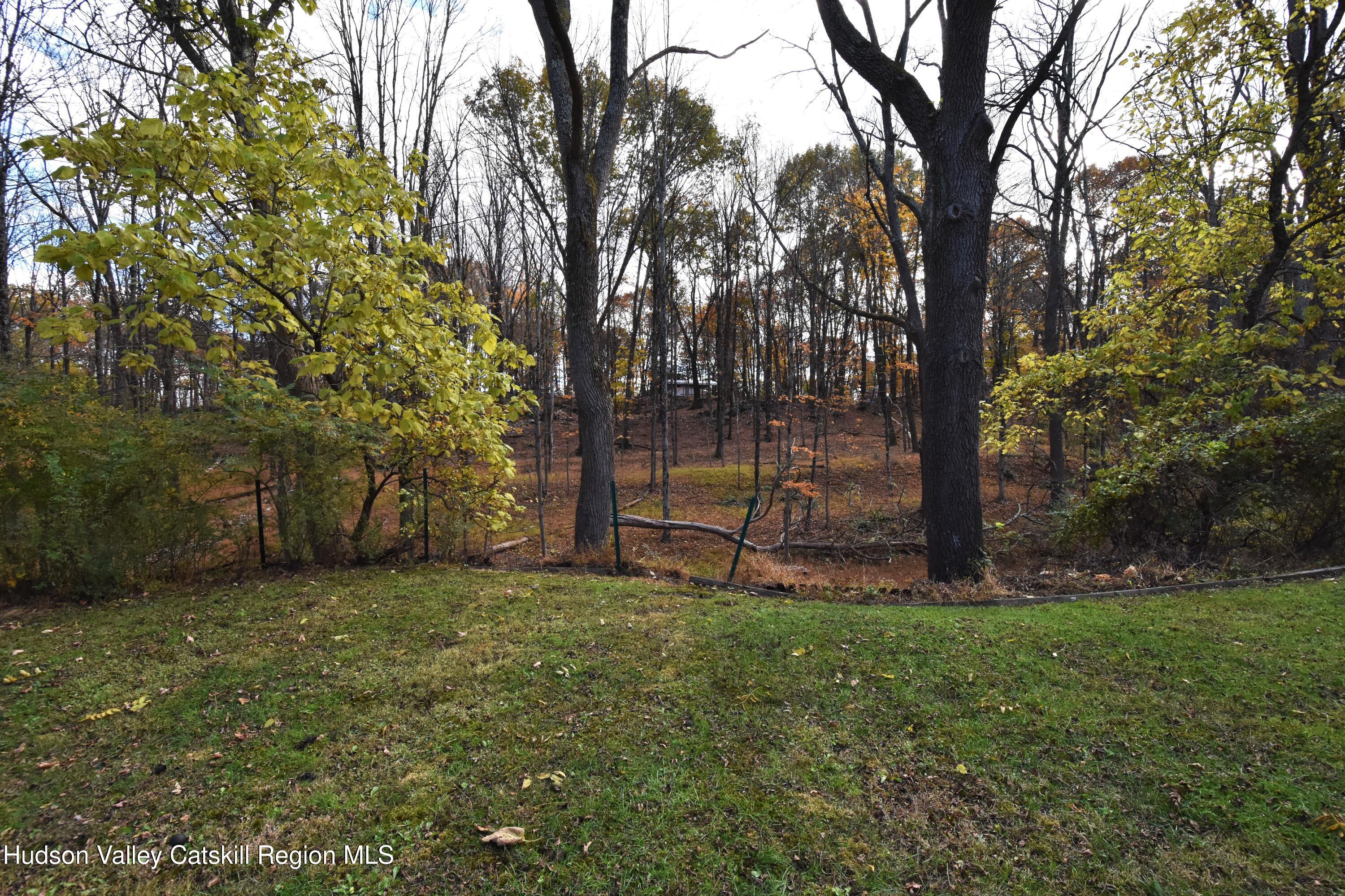 531 Old Post Road New Paltz, NY 12561 - Photo 23 of 25 a view of a park with a tree