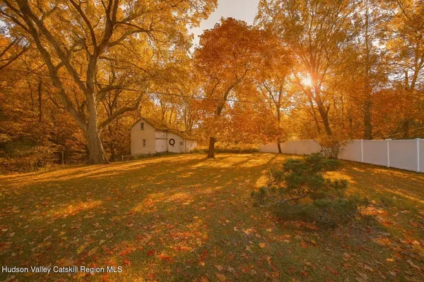a view of yard