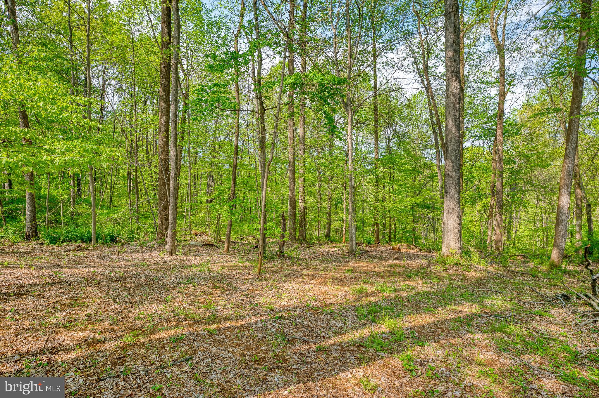 149 Cree Terrace Rising Sun, MD 21911 - Photo 54 of 55 Backyard