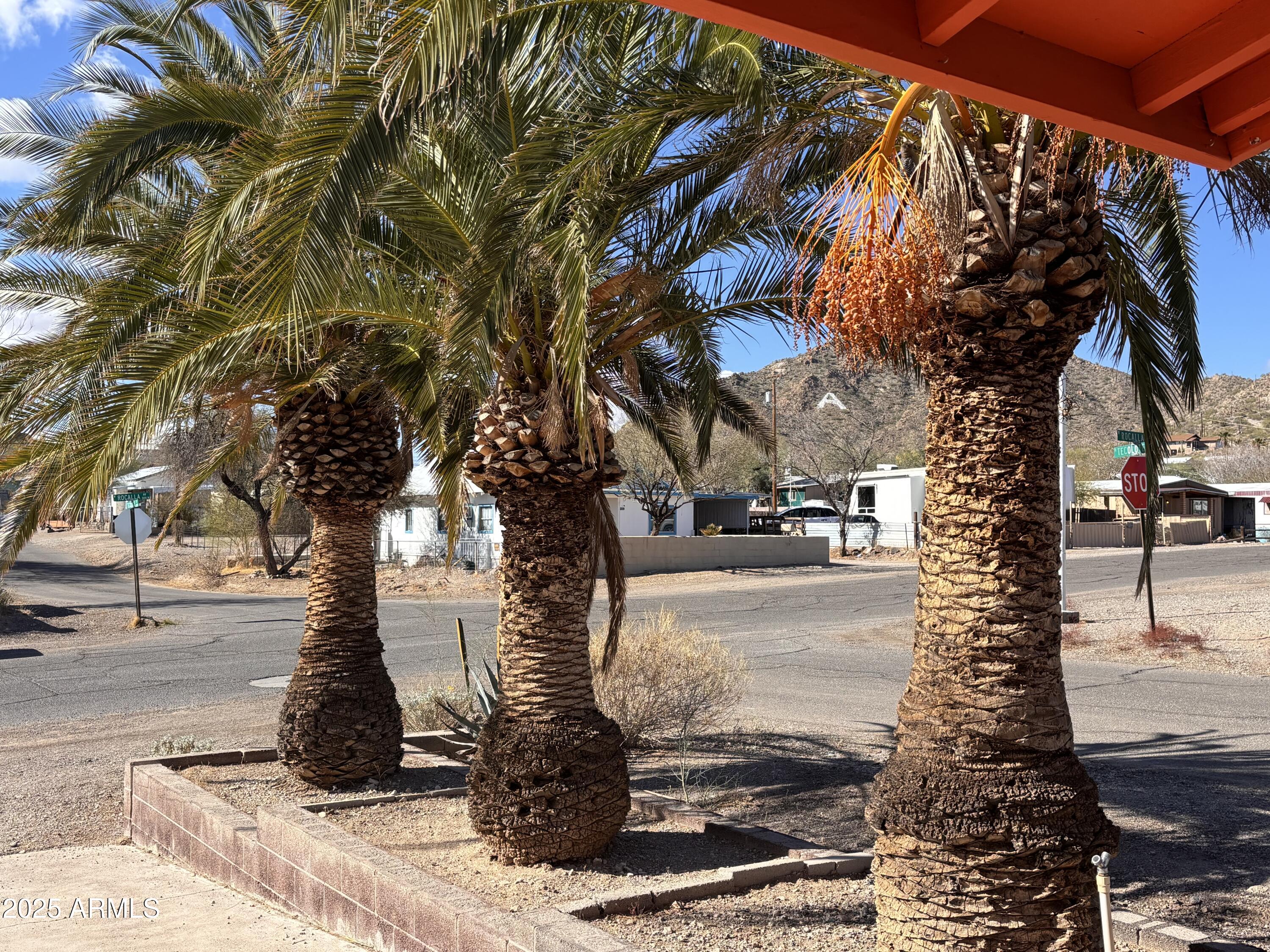 536 West Rocalla Avenue Ajo, AZ 85321 - Photo 3 of 20 IMG_6928