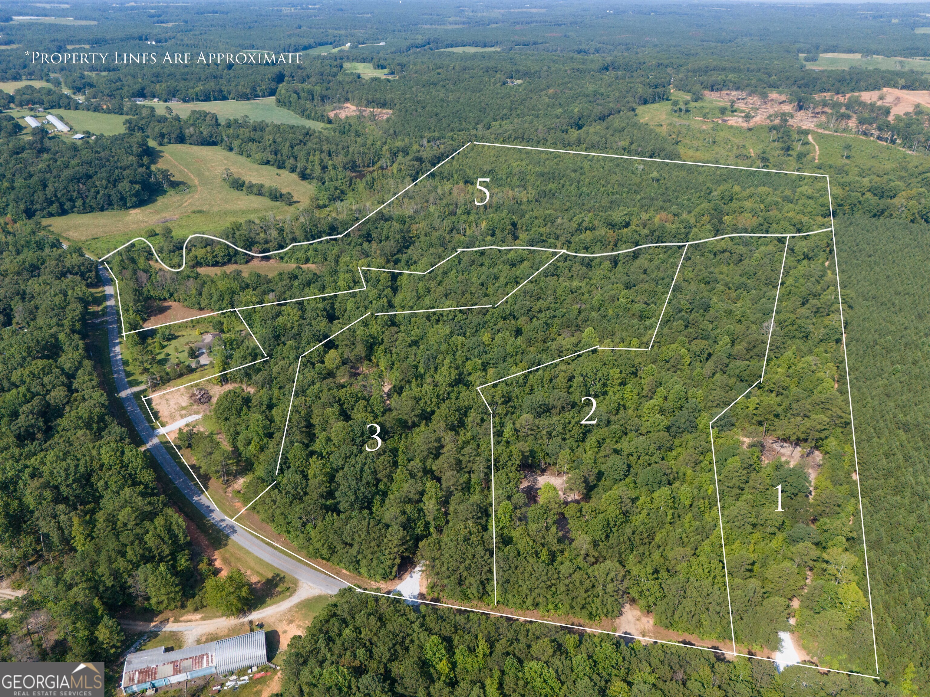 Lot 1 Gum Creek Airport Road, Unit 1 Roopville, GA 30170 - Photo 1 of 1 Gallery Image 1