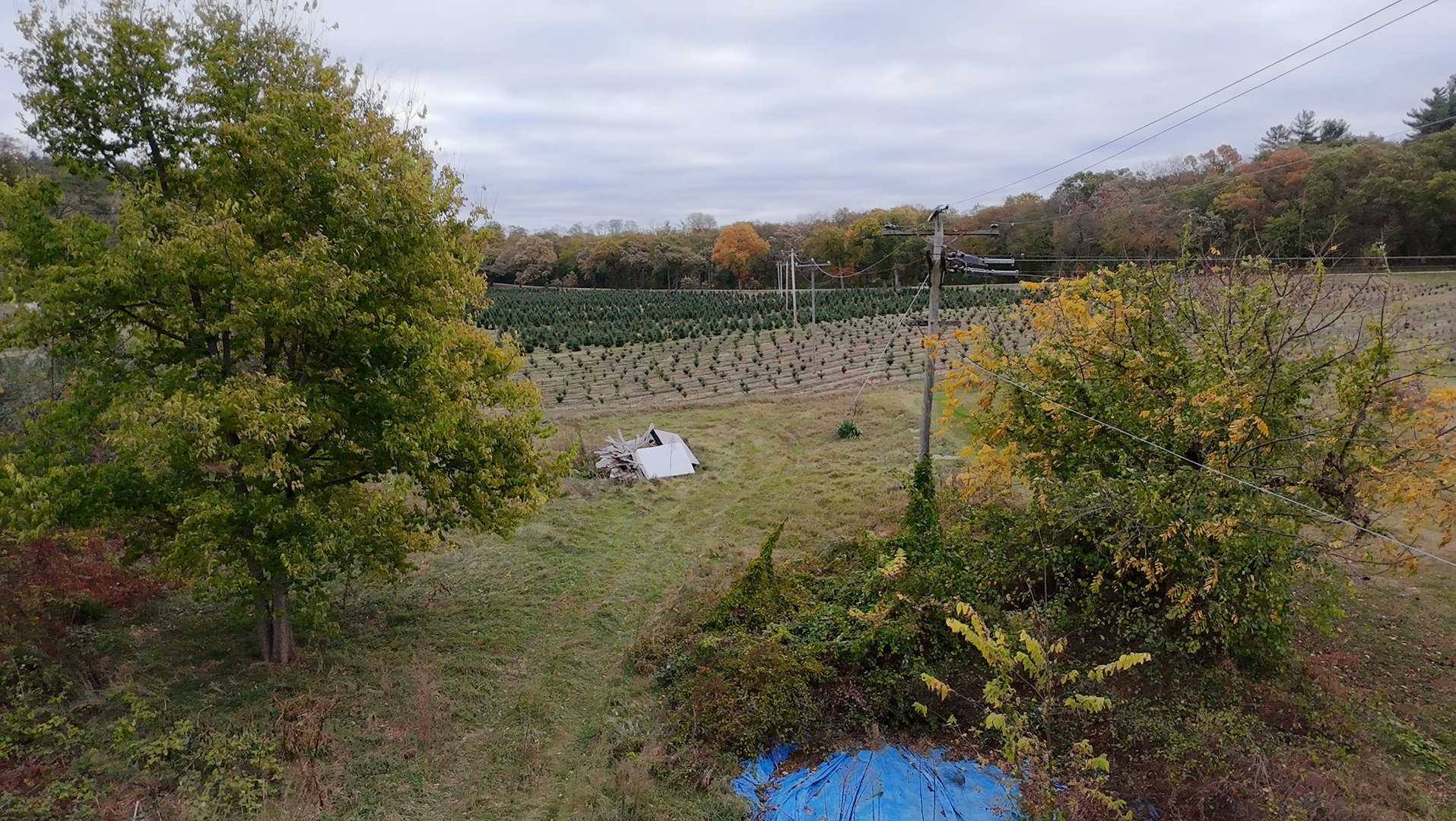 2931 South Lowden Road Oregon, IL 61061 - Photo 7 of 17