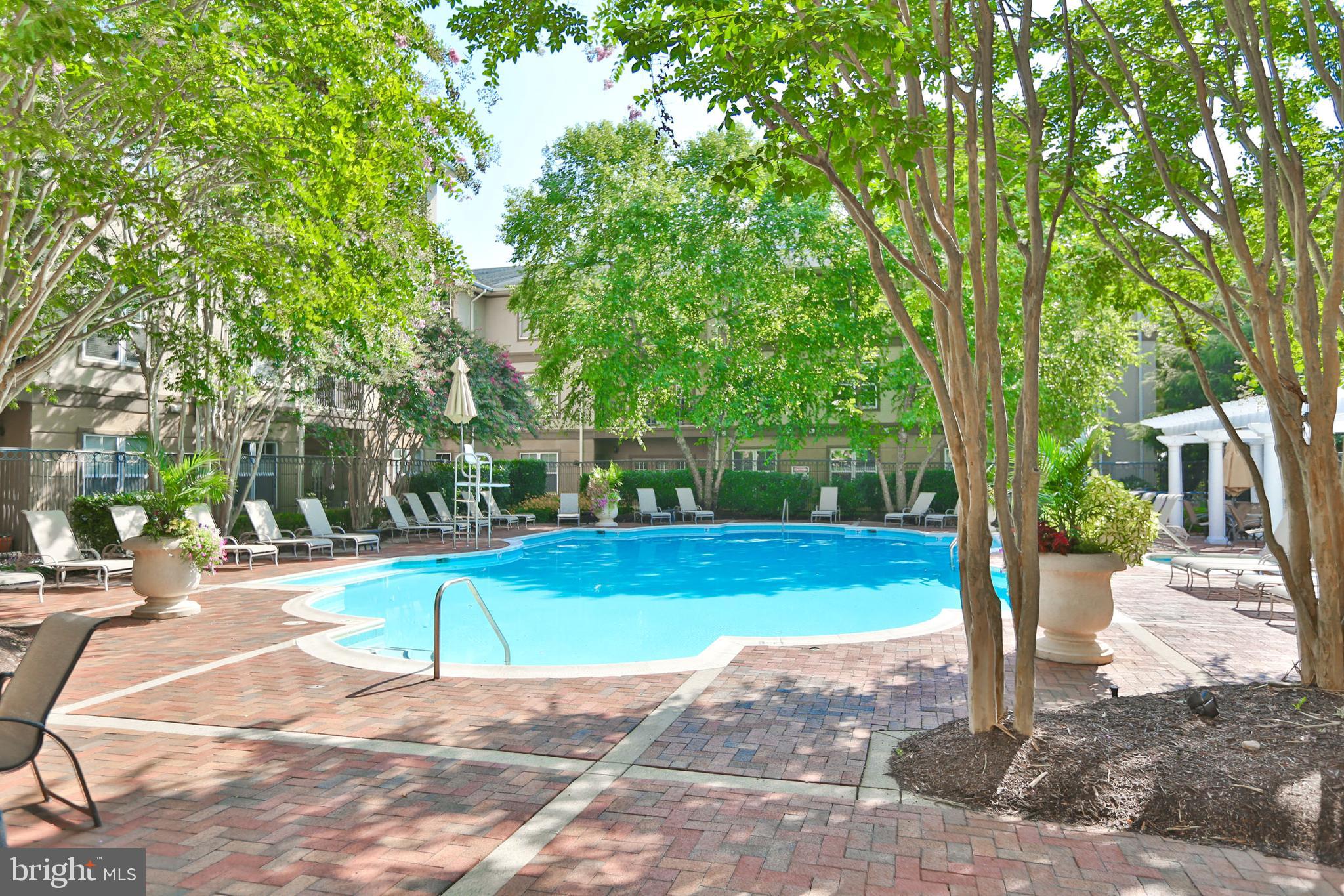 11800 Old Georgetown Road, Unit 1527 North Bethesda, MD 20852 - Photo 8 of 33